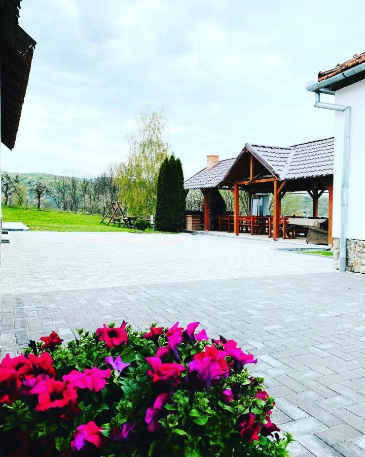 Pensiunea Turistica Retreat Belvedere Vadu Crisului Exteriér fotografie
