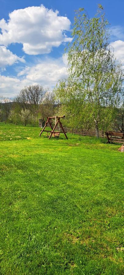 Pensiunea Turistica Retreat Belvedere Vadu Crisului Exteriér fotografie
