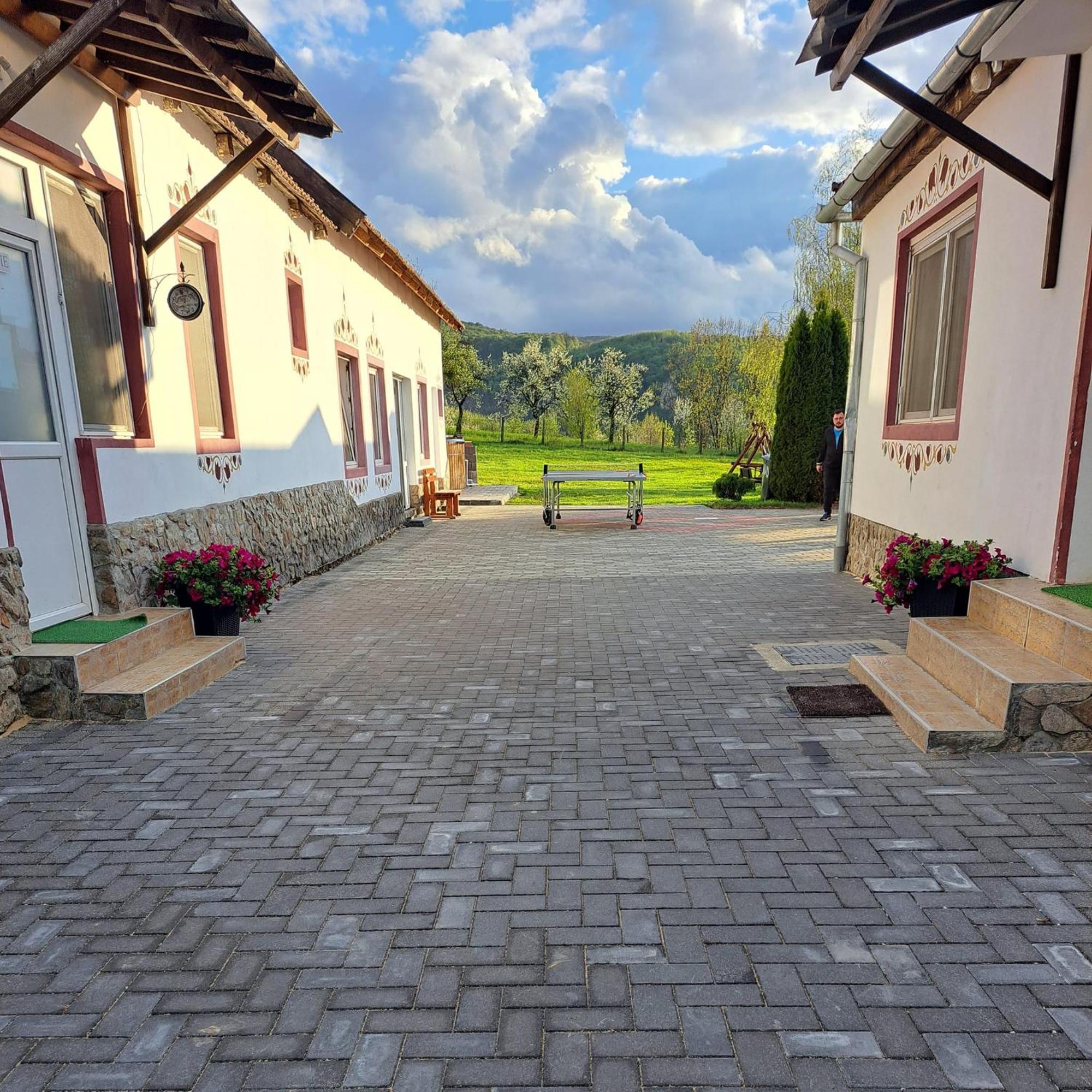 Pensiunea Turistica Retreat Belvedere Vadu Crisului Exteriér fotografie